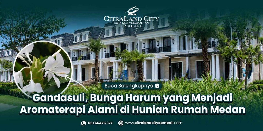 Gandasuli, Bunga Harum yang Menjadi Aromaterapi Alami di Hunian Rumah Medan